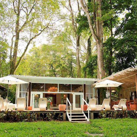 Puerto Viejo de Talamanca Gigi Brown Villa Frida Beachfront מראה חיצוני תמונה