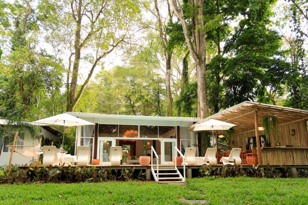 Puerto Viejo de Talamanca Gigi Brown Villa Frida Beachfront מראה חיצוני תמונה
