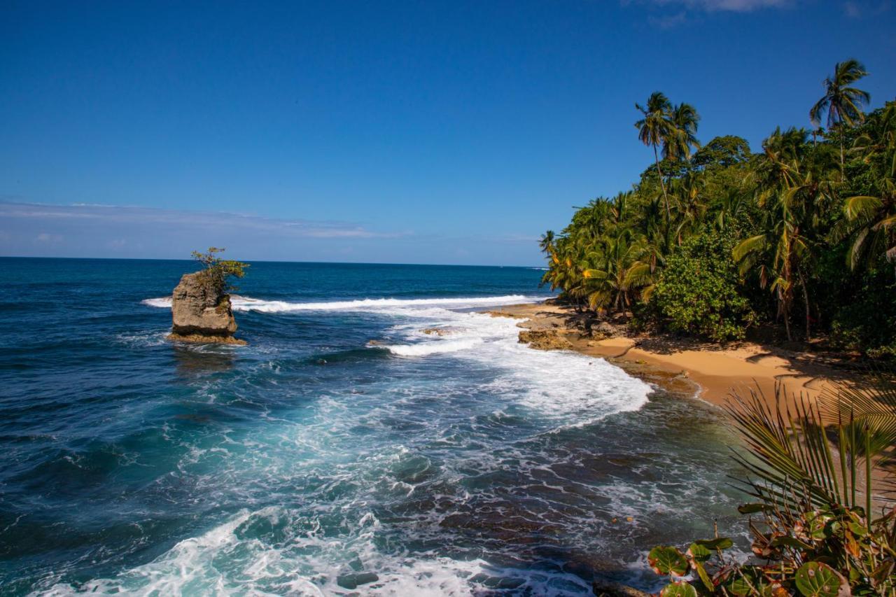 Puerto Viejo de Talamanca Gigi Brown Villa Frida Beachfront מראה חיצוני תמונה