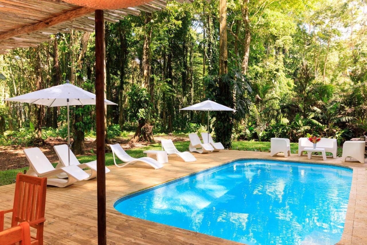 Puerto Viejo de Talamanca Gigi Brown Villa Frida Beachfront מראה חיצוני תמונה