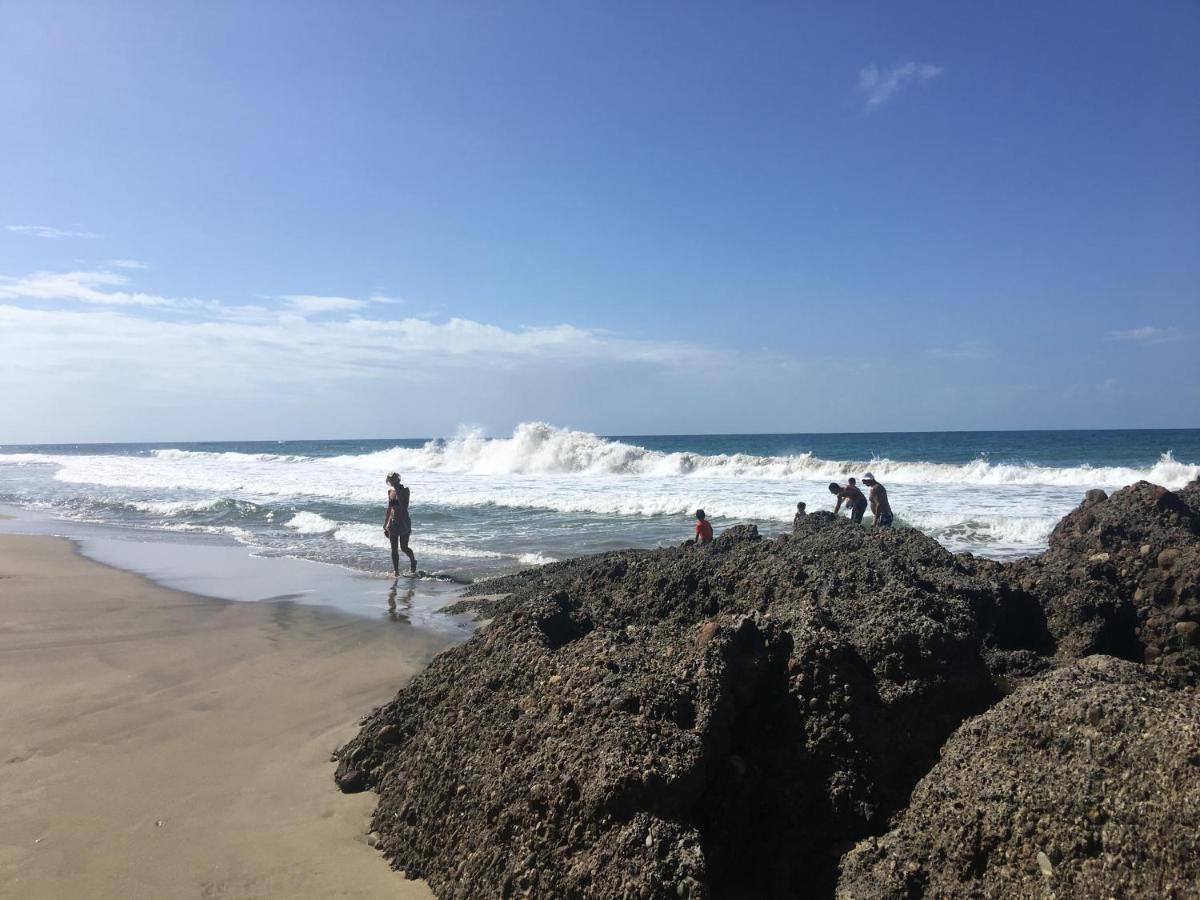 Puerto Viejo de Talamanca Gigi Brown Villa Frida Beachfront מראה חיצוני תמונה